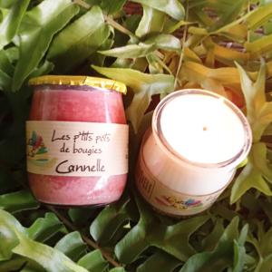 Les p'tits pots de bougies  Cannelle