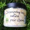 Shampoing sec pour chien