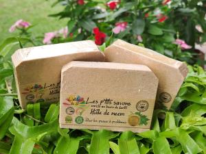 Savon à l'huile de Neem