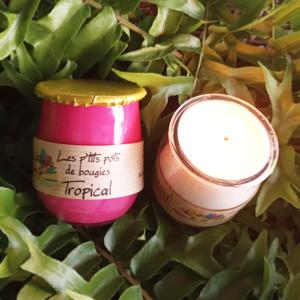 Les p'tits pots de bougies  Tropical